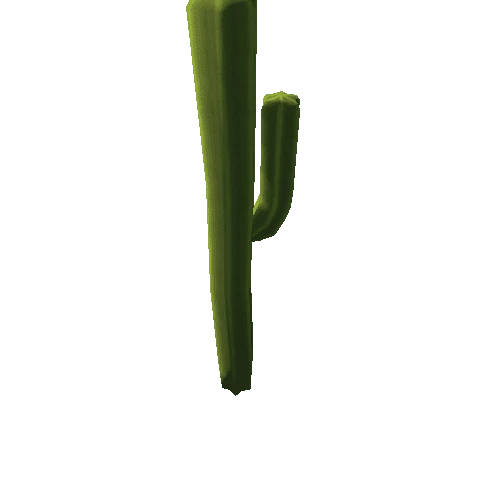 Saguaro3