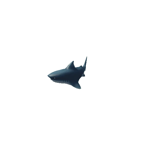 Fish_shark