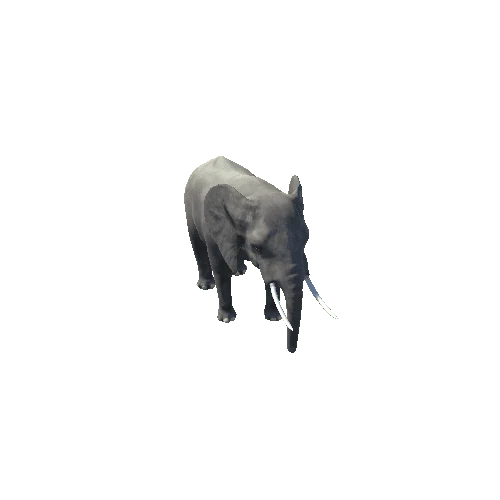 Elephant_V2_LOD's