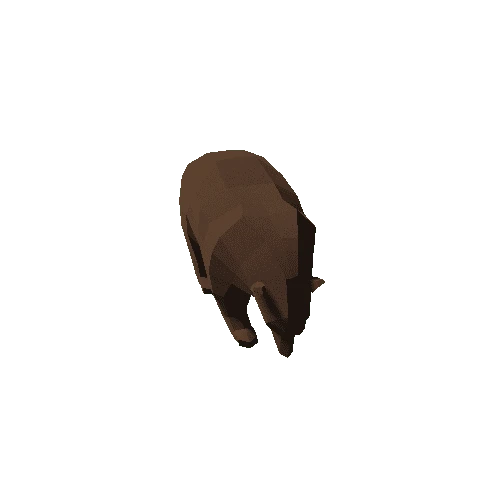 Bear_demo