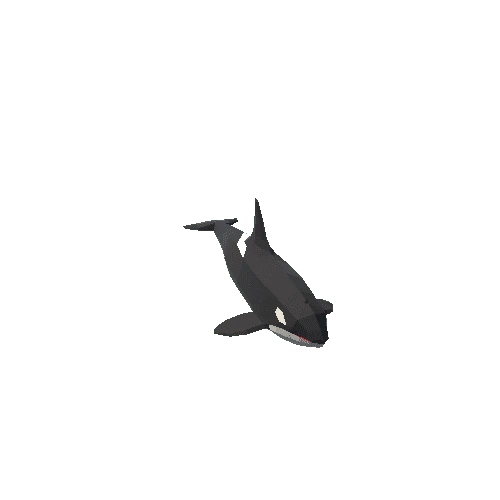 Orca_demo