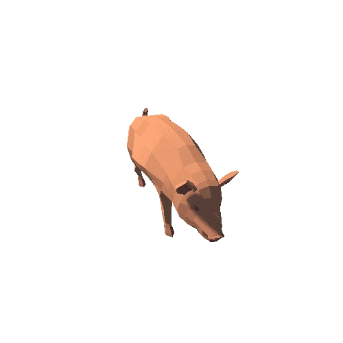 Pig