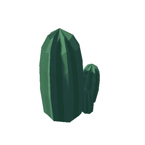 Cactus_6