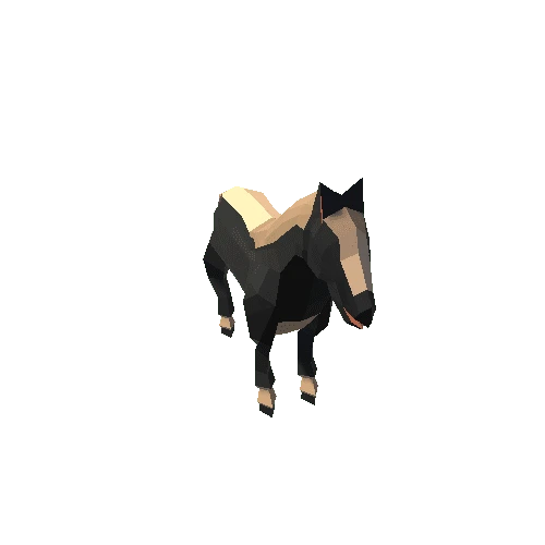 Horse_2