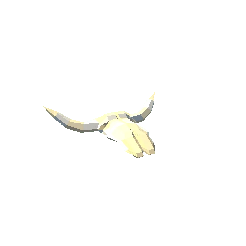 Ox_Skull