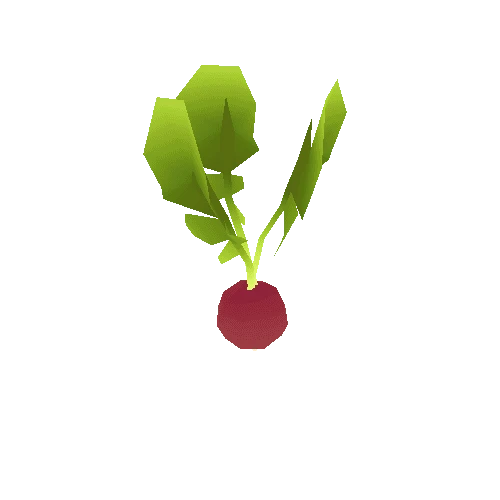 Radish