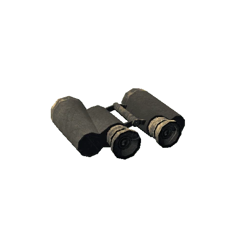 Binocular