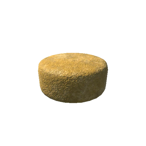 CAMP_cheese_wheel_A