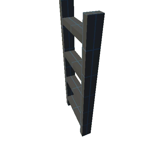 PTK_Ladder_Small