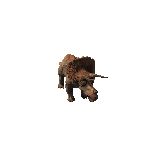 BB_Triceratops_SV_RM_HP_mat2