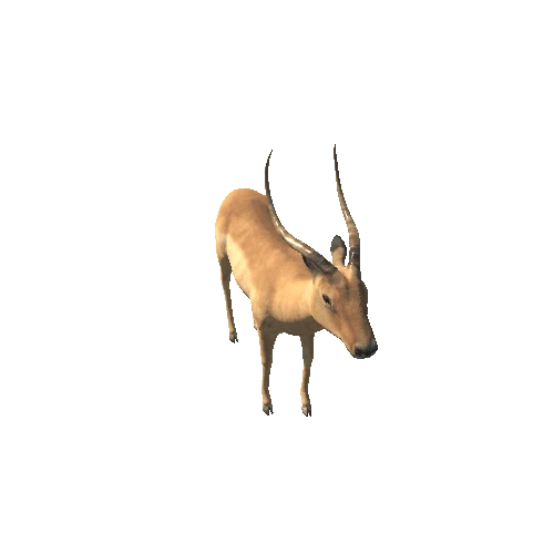 antelope_V2_LOD0