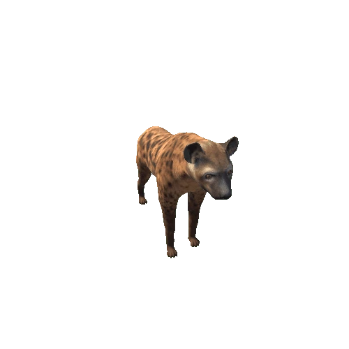 hyena_LOD0