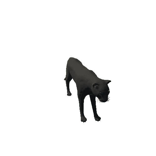 panther_LOD0