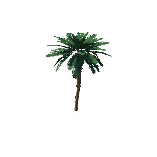 palm_small