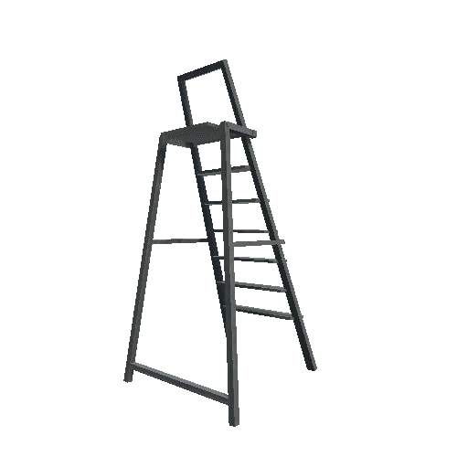 Ladder_02