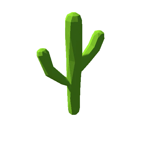 Cactus_4