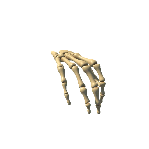 SkeletonHand_R