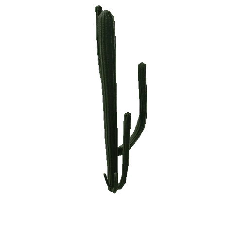 Cactus_2