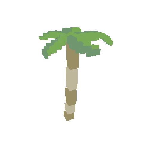 Palm