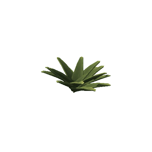 Aloe_s1_2