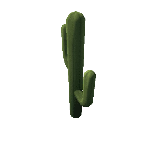 Cactus_10_s1