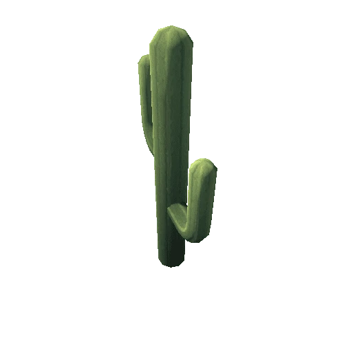 Cactus_10_s7