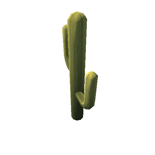 Cactus_10_s8