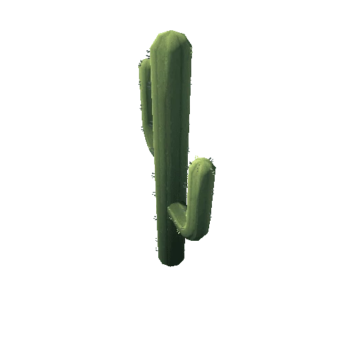 Cactus_11_s7