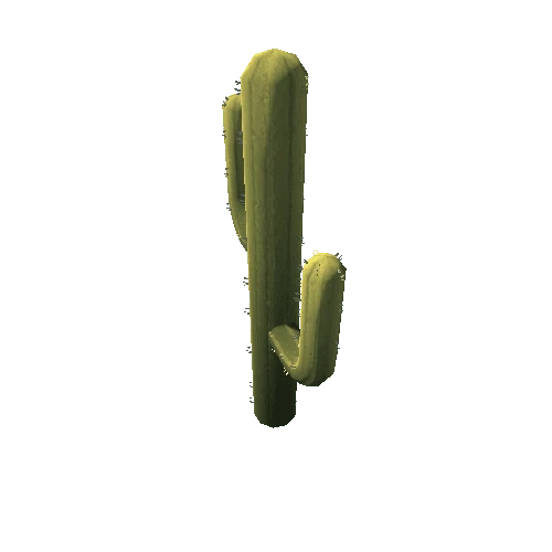 Cactus_11_s8