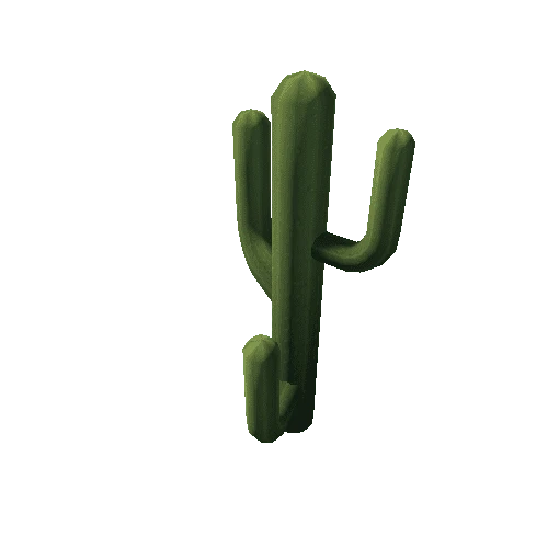 Cactus_12_s1