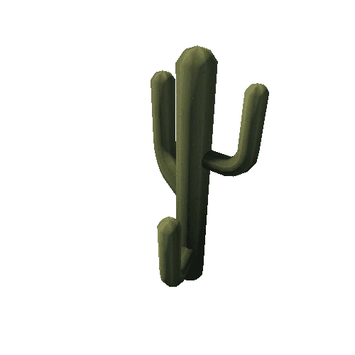 Cactus_12_s4