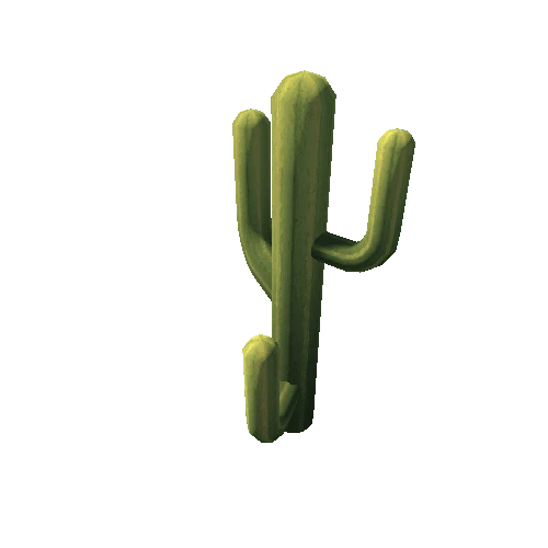 Cactus_12_s5