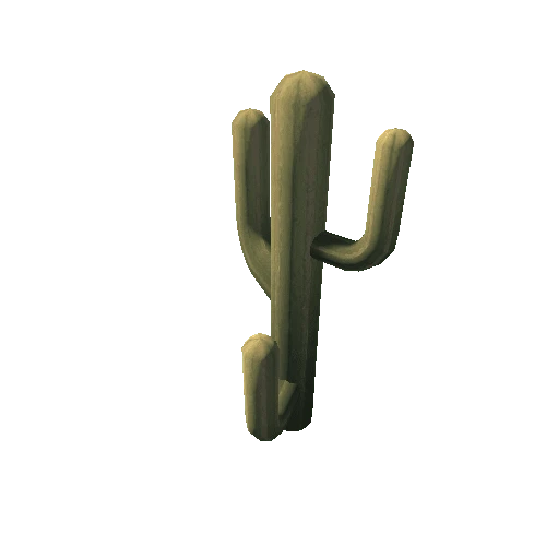 Cactus_12_s6