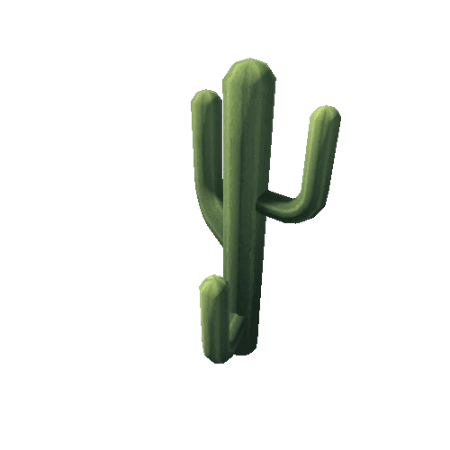 Cactus_12_s7