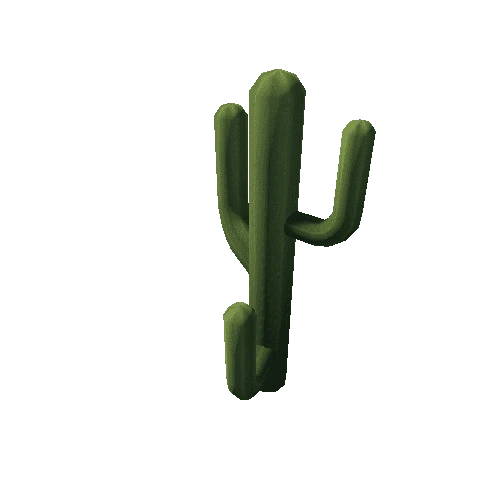 Cactus_13_s1