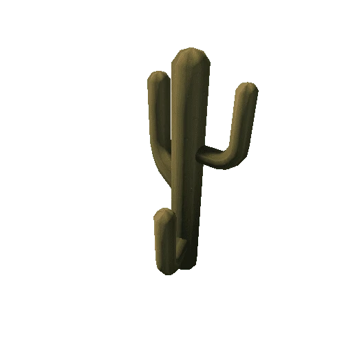 Cactus_13_s2