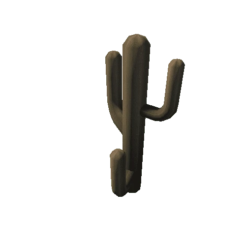 Cactus_13_s3