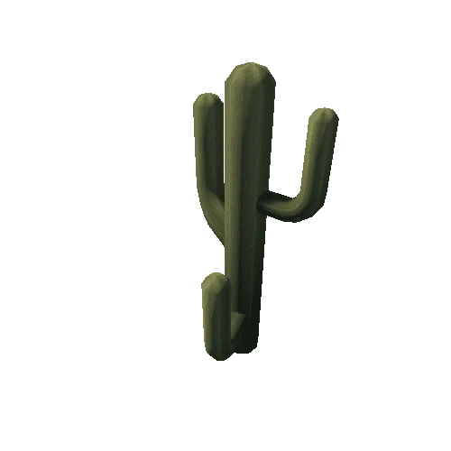 Cactus_13_s4