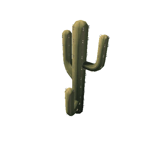 Cactus_13_s6