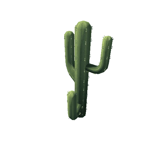 Cactus_13_s7