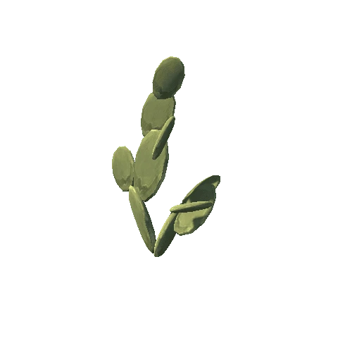 Cactus_3_s6