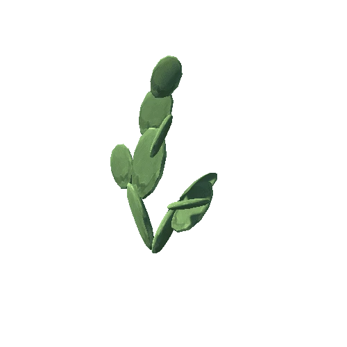Cactus_3_s7