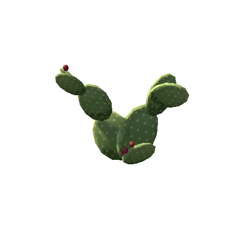 Cactus_5_s5