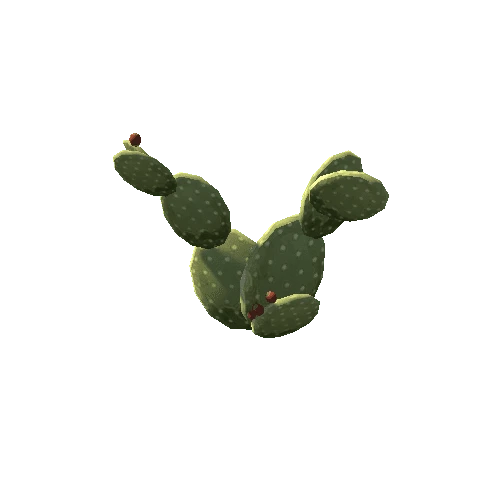 Cactus_5_s8