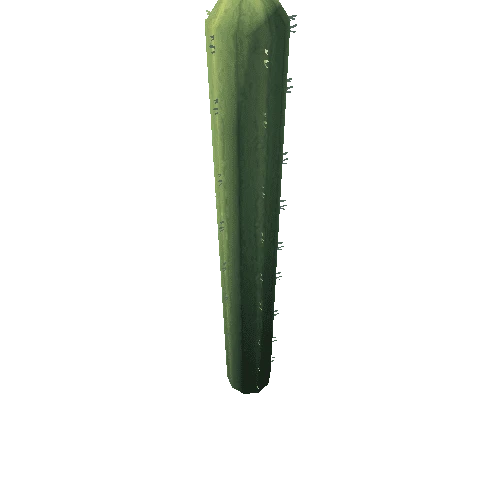 Cactus_7_s7