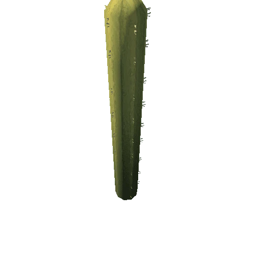 Cactus_7_s8