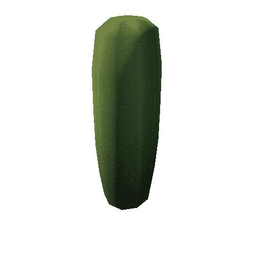 Cactus_8_s1