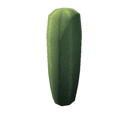 Cactus_8_s7