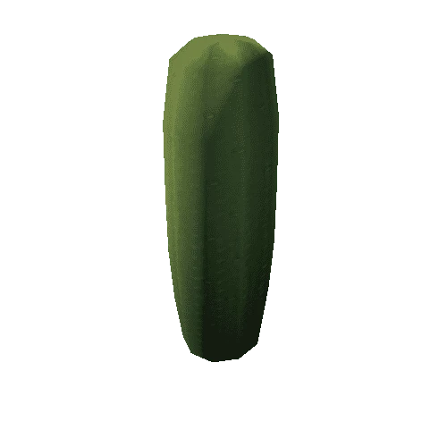 Cactus_9_s1