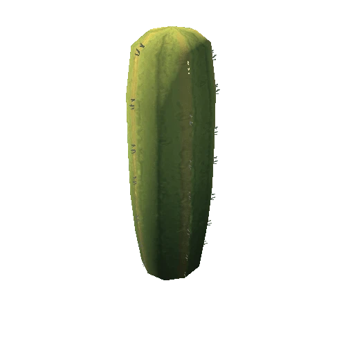 Cactus_9_s5